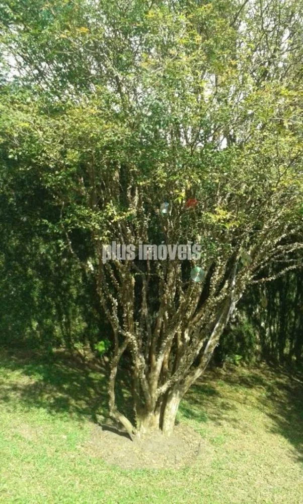 Terreno, 413 m² - Foto 3