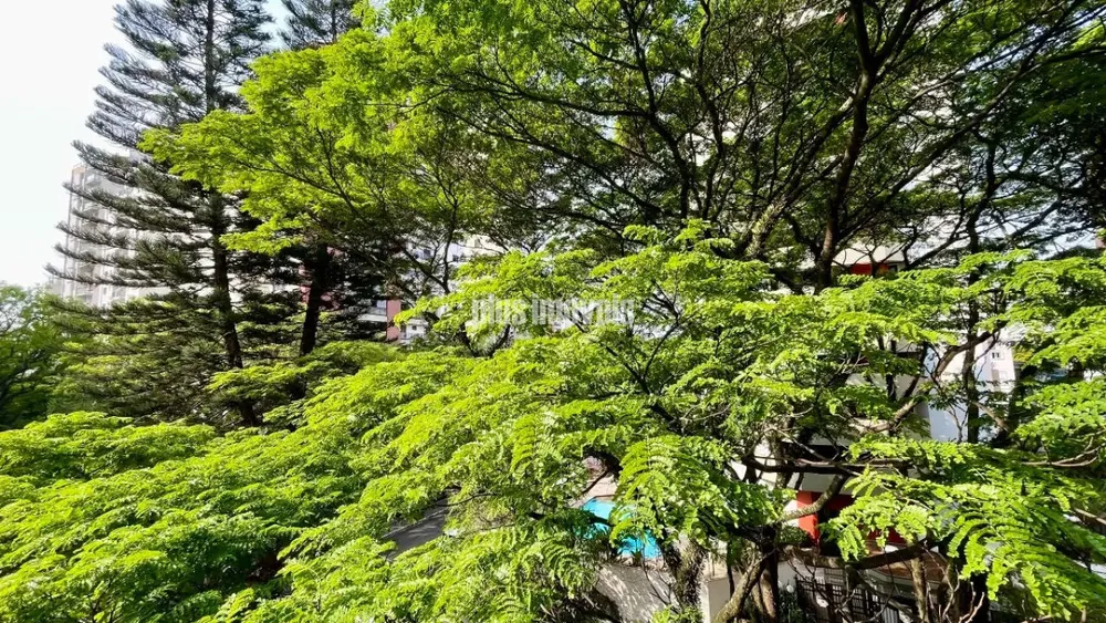 Apartamento, 3 quartos, 240 m² - Foto 2