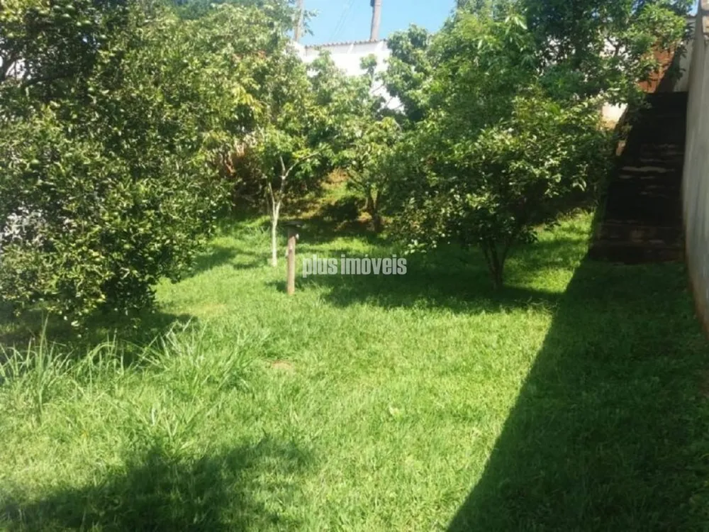 Casa, 4 quartos, 508 m² - Foto 11