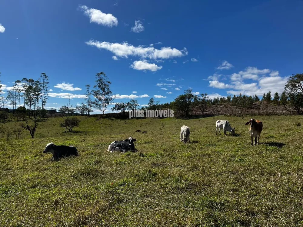 Sítio à venda com 3 quartos, 750m² - Foto 3