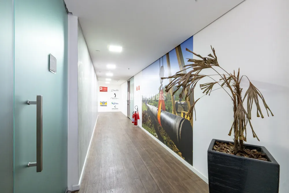 Sala-Conjunto, 600 m² - Foto 4