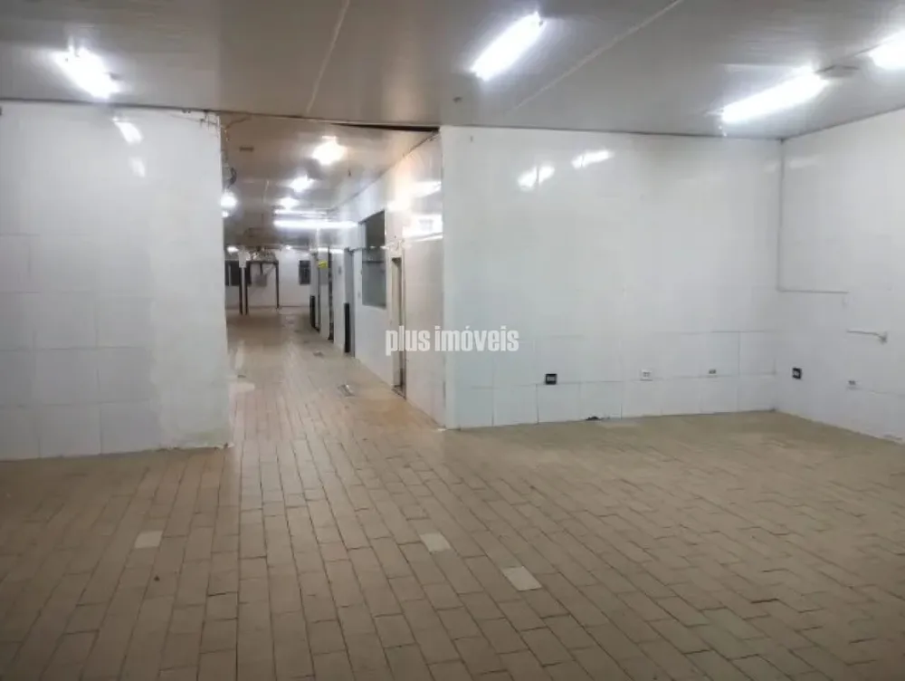 Depósito-Galpão, 800 m² - Foto 3