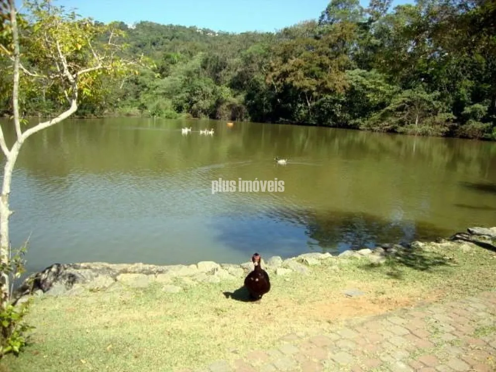 Terreno, 365 m² - Foto 10