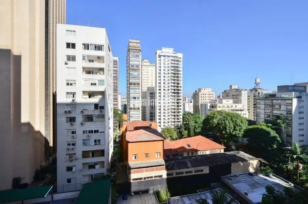 Apartamento, 3 quartos, 256 m² - Foto 12