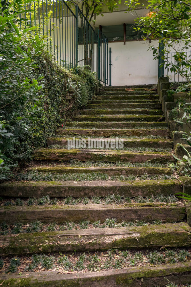 Casa, 4 quartos, 1050 m² - Foto 4