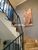 Casa, 3 quartos, 790 m² - Foto 3