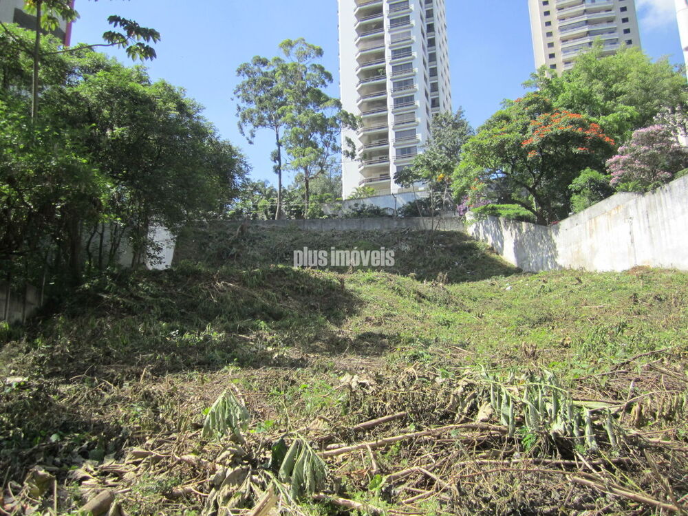 Terreno, 2489 m² - Foto 3
