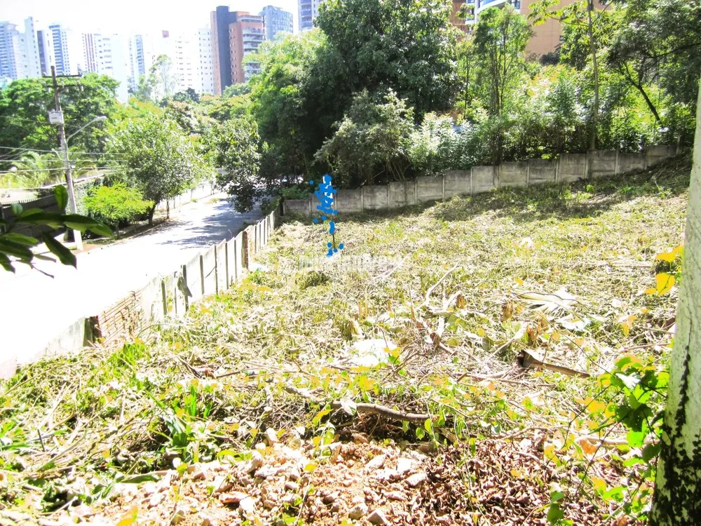 Terreno, 2489 m² - Foto 5