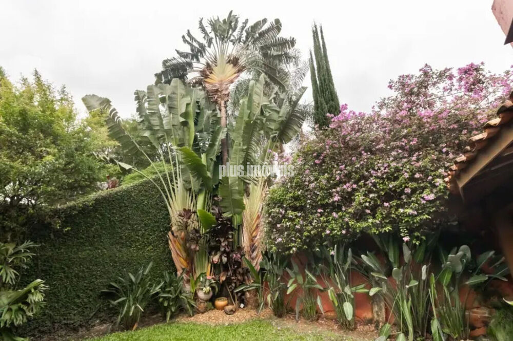 Casa, 3 quartos, 300 m² - Foto 13
