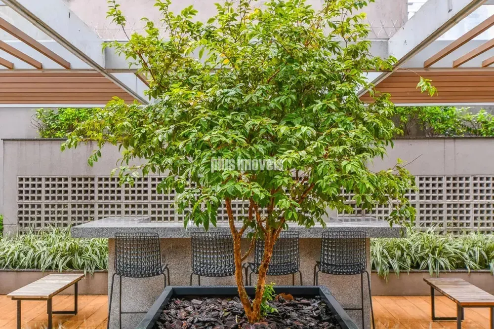 Apartamento, 4 quartos, 186 m² - Foto 3