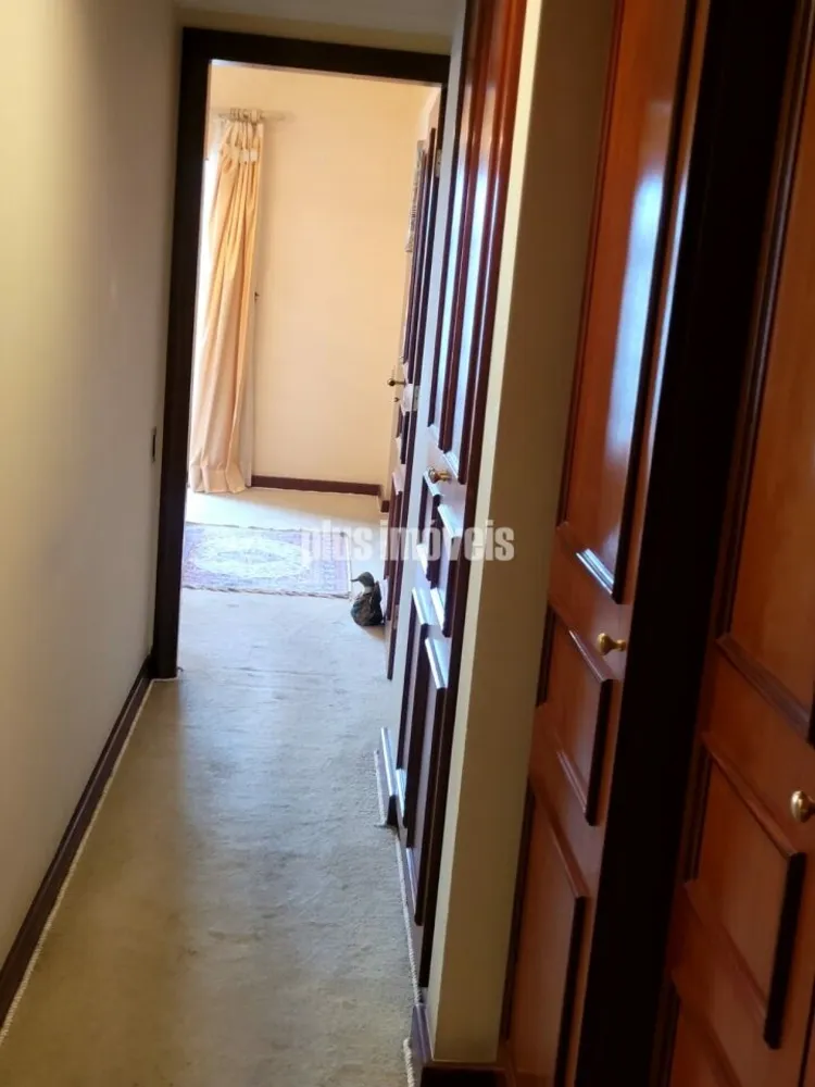 Apartamento, 3 quartos, 220 m² - Foto 3