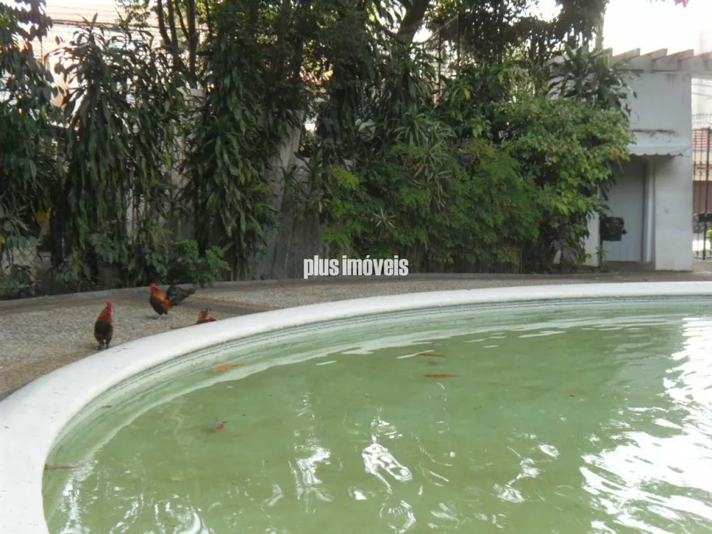 Apartamento, 4 quartos, 207 m² - Foto 4
