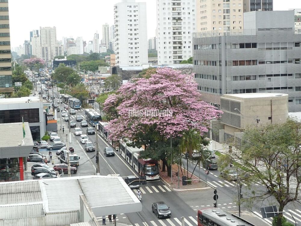 Sala-Conjunto, 1336 m² - Foto 18