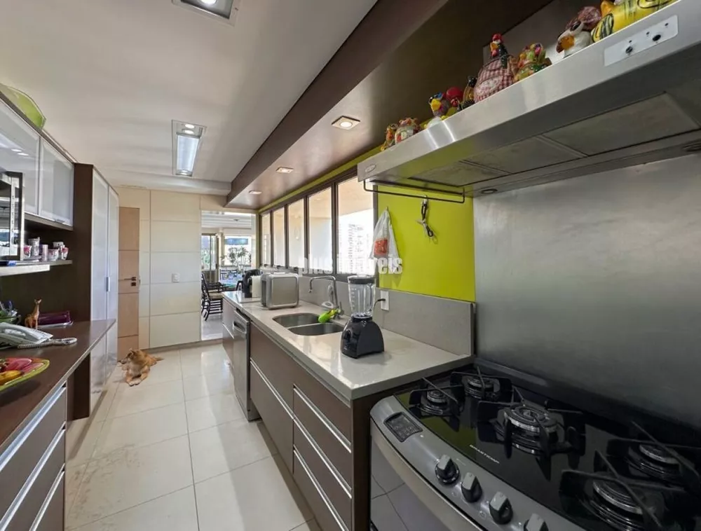 Apartamento, 3 quartos, 240 m² - Foto 11