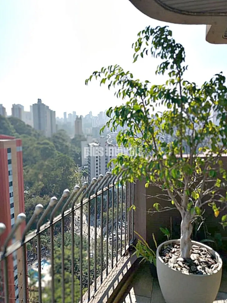 Apartamento, 3 quartos, 254 m² - Foto 4