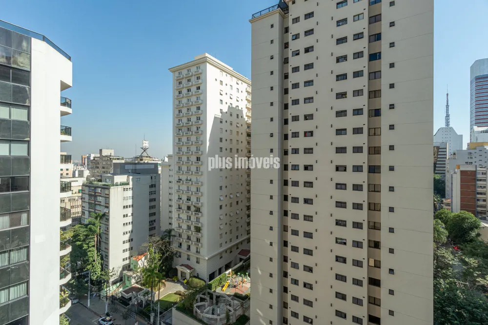 Apartamento, 3 quartos, 247 m² - Foto 39