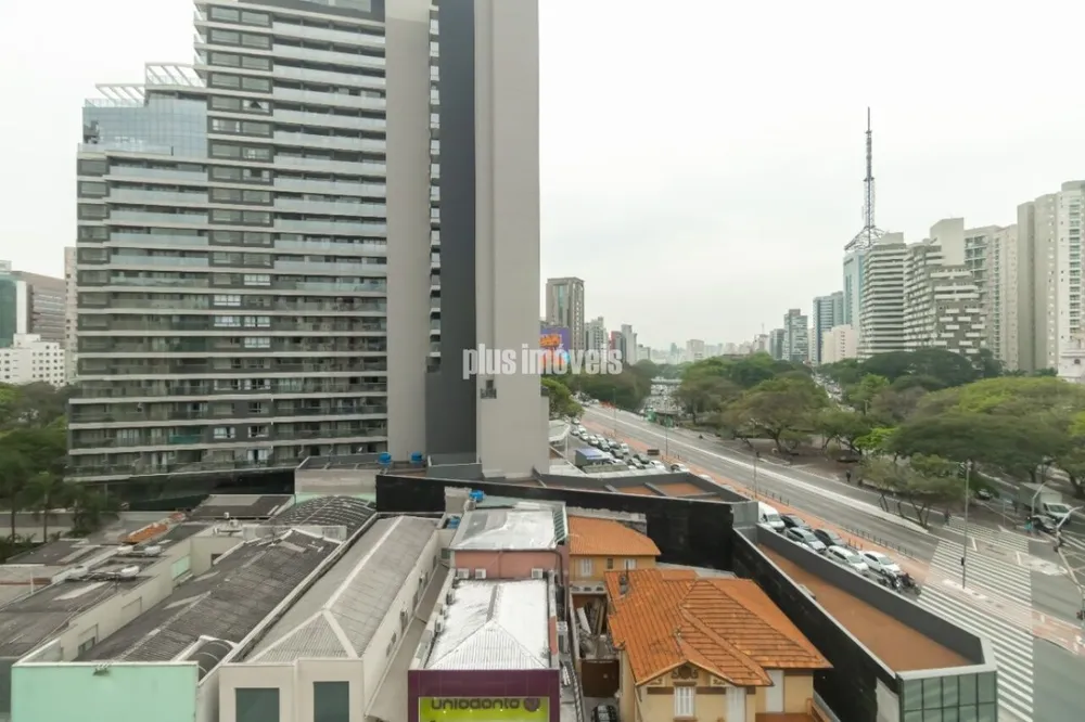 Sala-Conjunto, 248 m² - Foto 3