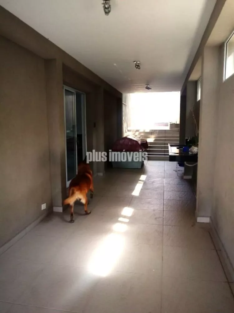 Casa, 4 quartos, 260 m² - Foto 6