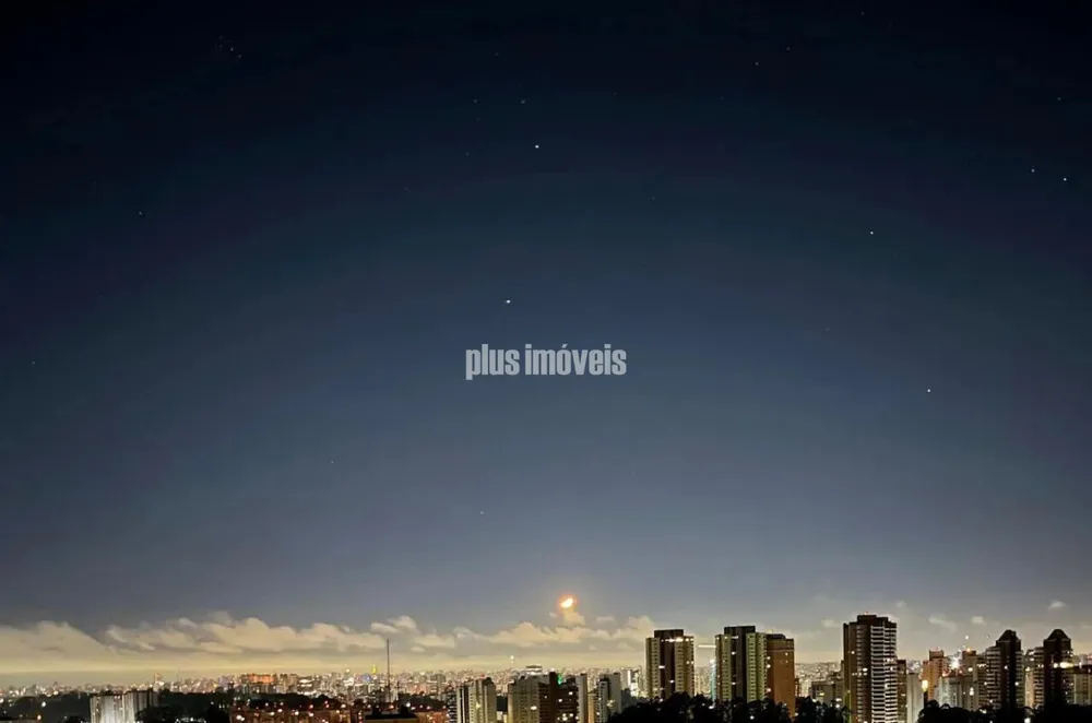 Apartamento, 4 quartos, 203 m² - Foto 3