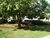 Apartamento, 3 quartos, 150 m² - Foto 3