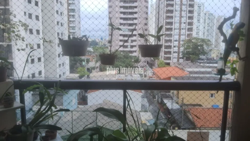 Apartamento, 4 quartos, 117 m² - Foto 1