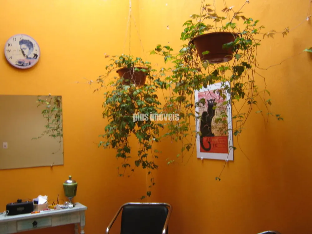 Casa, 4 quartos, 350 m² - Foto 14