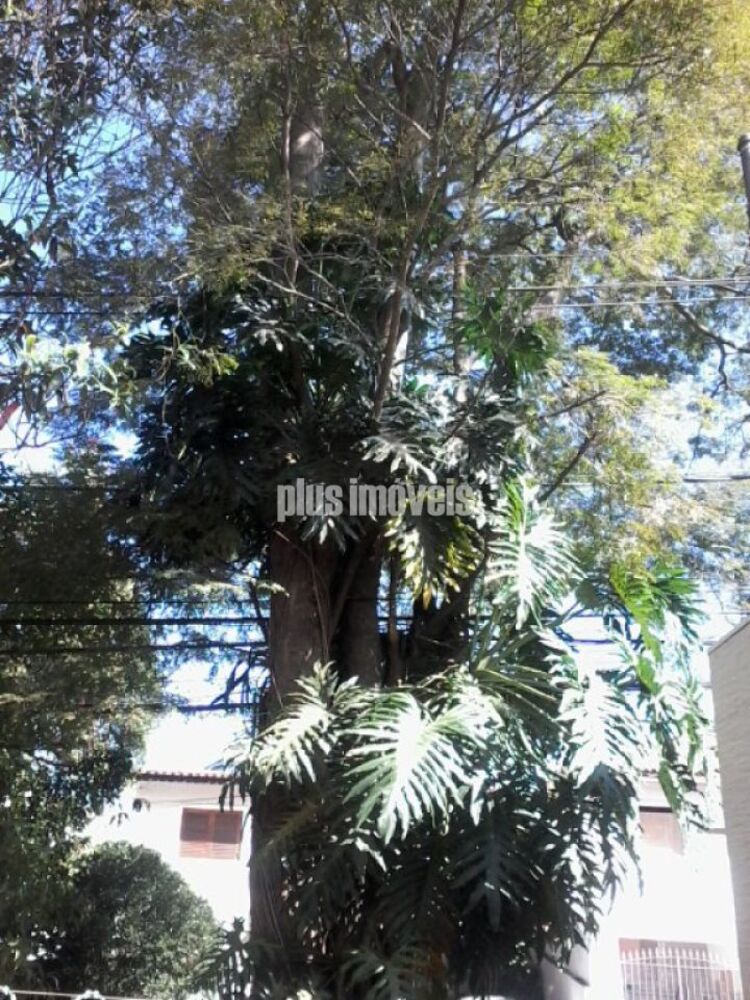 Casa, 3 quartos, 450 m² - Foto 8