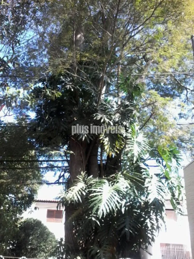 Casa, 3 quartos, 450 m² - Foto 34