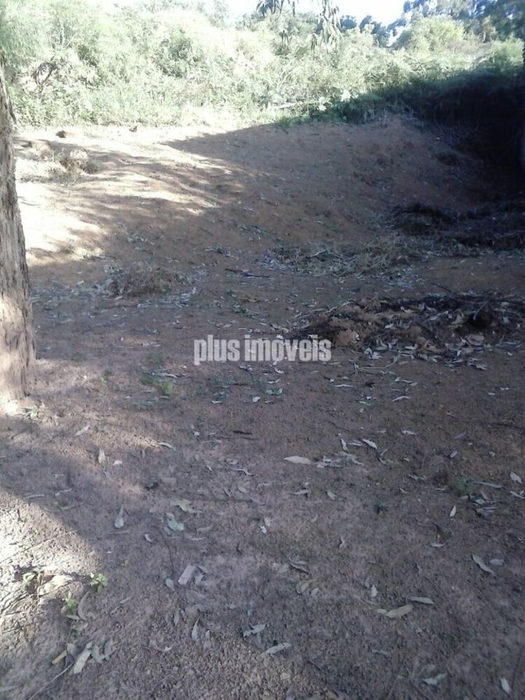 Terreno à venda e aluguel, 890m² - Foto 2