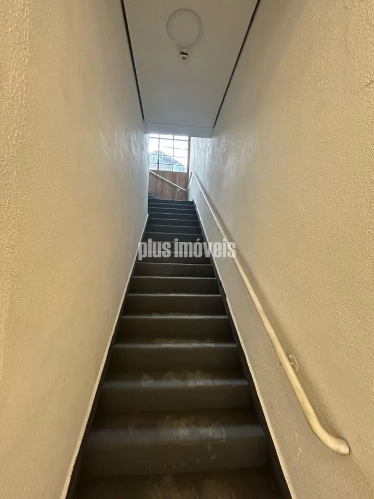 Loja-Salão, 303 m² - Foto 3