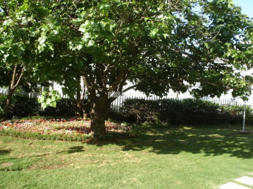 Apartamento, 3 quartos, 170 m² - Foto 16