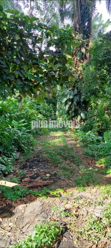 Terreno, 300 m² - Foto 3