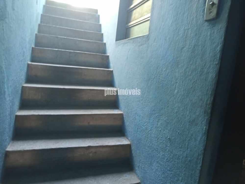 Casa, 3 quartos, 300 m² - Foto 7