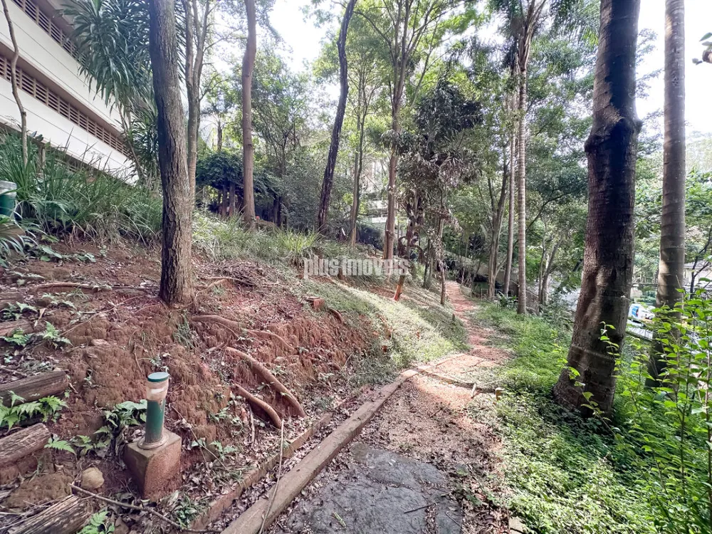 Apartamento, 3 quartos, 211 m² - Foto 3