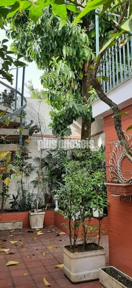 Casa, 3 quartos, 450 m² - Foto 8
