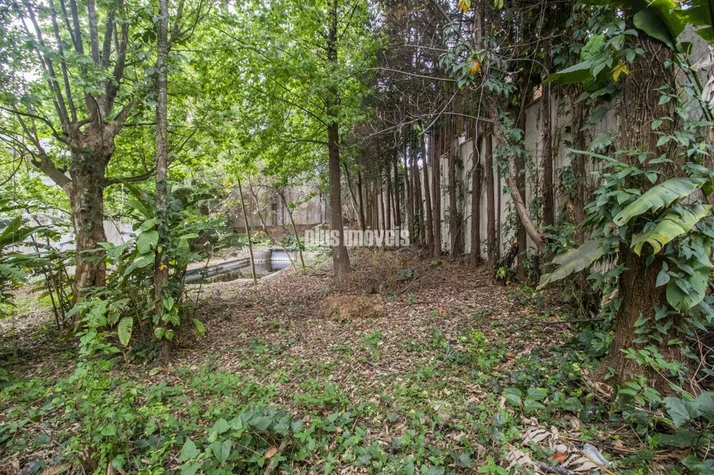 Terreno, 785 m² - Foto 3