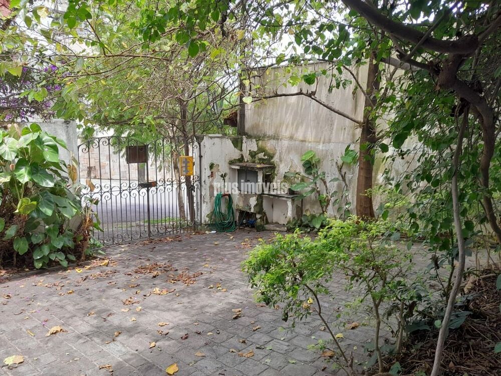 Casa, 4 quartos, 264 m² - Foto 12