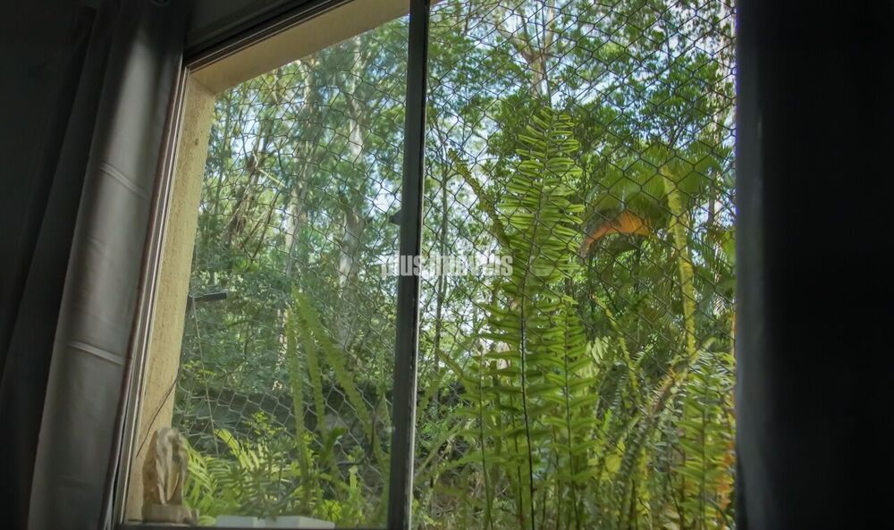 Apartamento, 3 quartos, 68 m² - Foto 3