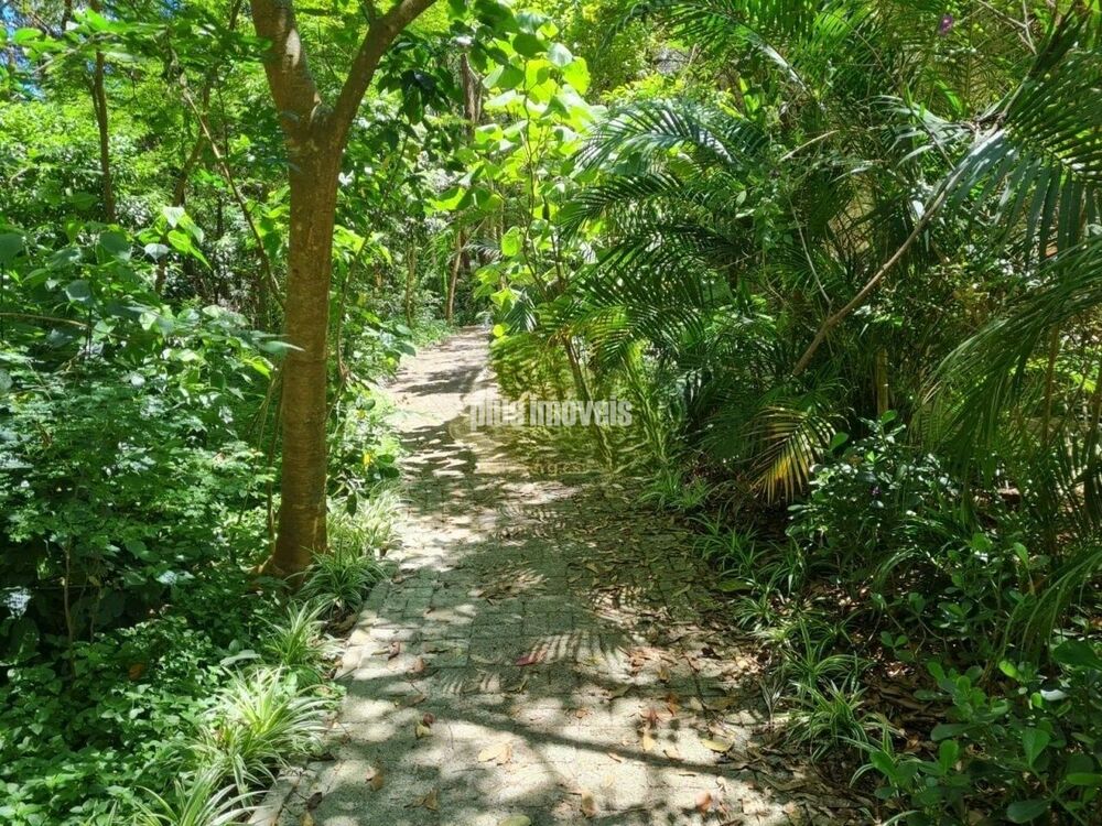 Apartamento, 4 quartos, 196 m² - Foto 30