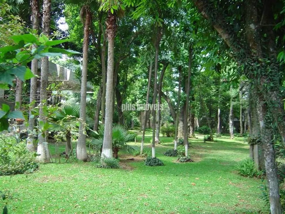Casa, 5 quartos, 1879 m² - Foto 4