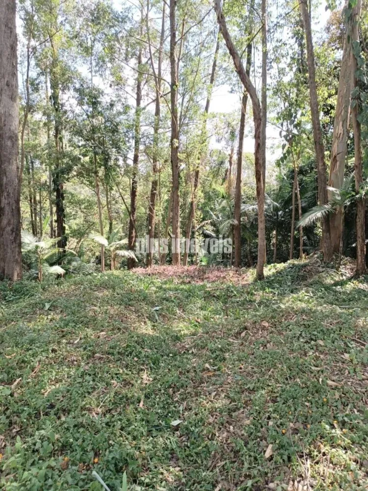 Terreno, 2675 m² - Foto 4