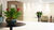 Apartamento, 4 quartos, 172 m² - Foto 6