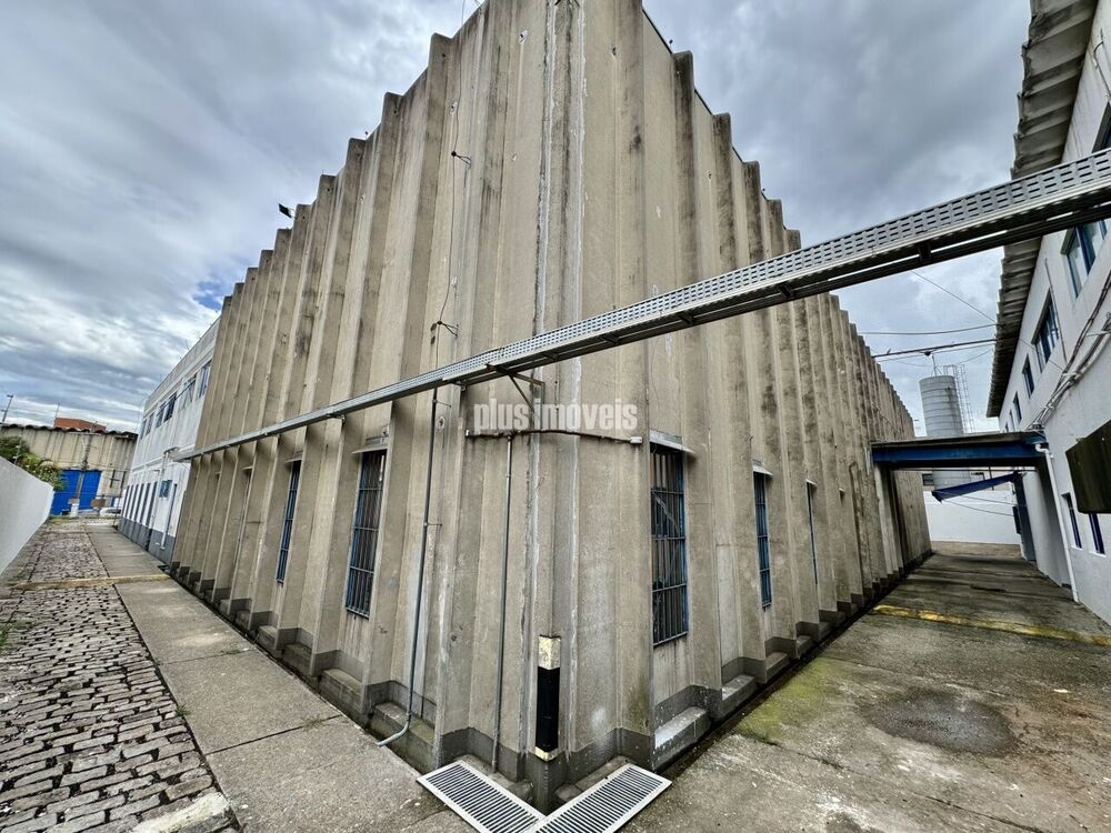 Depósito-Galpão, 1920 m² - Foto 5