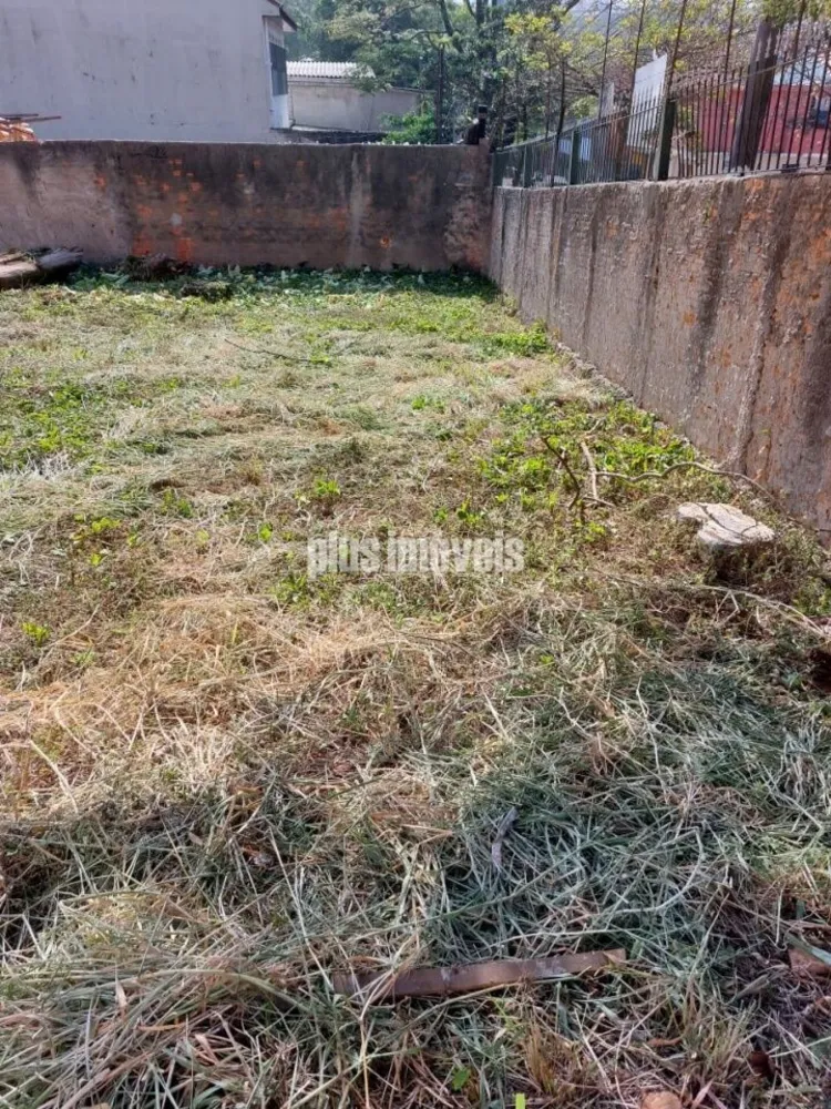 Terreno, 1000 m² - Foto 3