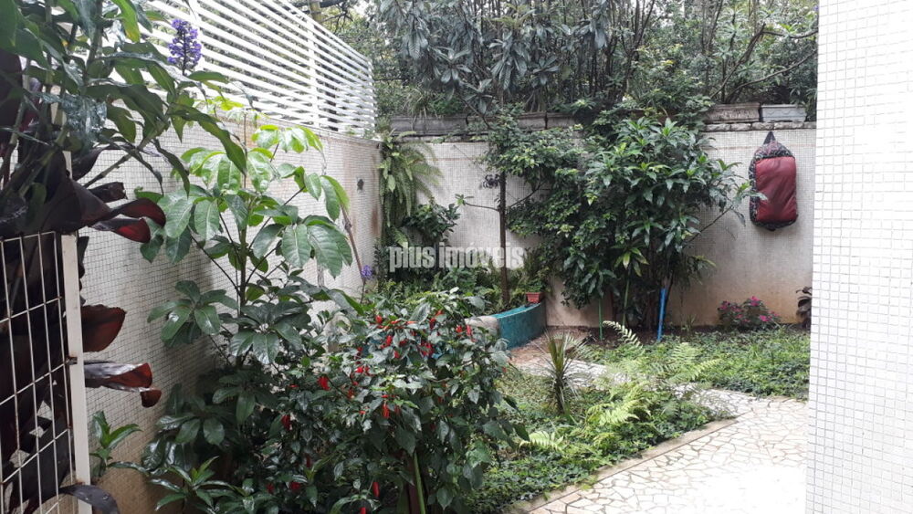 Casa, 3 quartos, 451 m² - Foto 4
