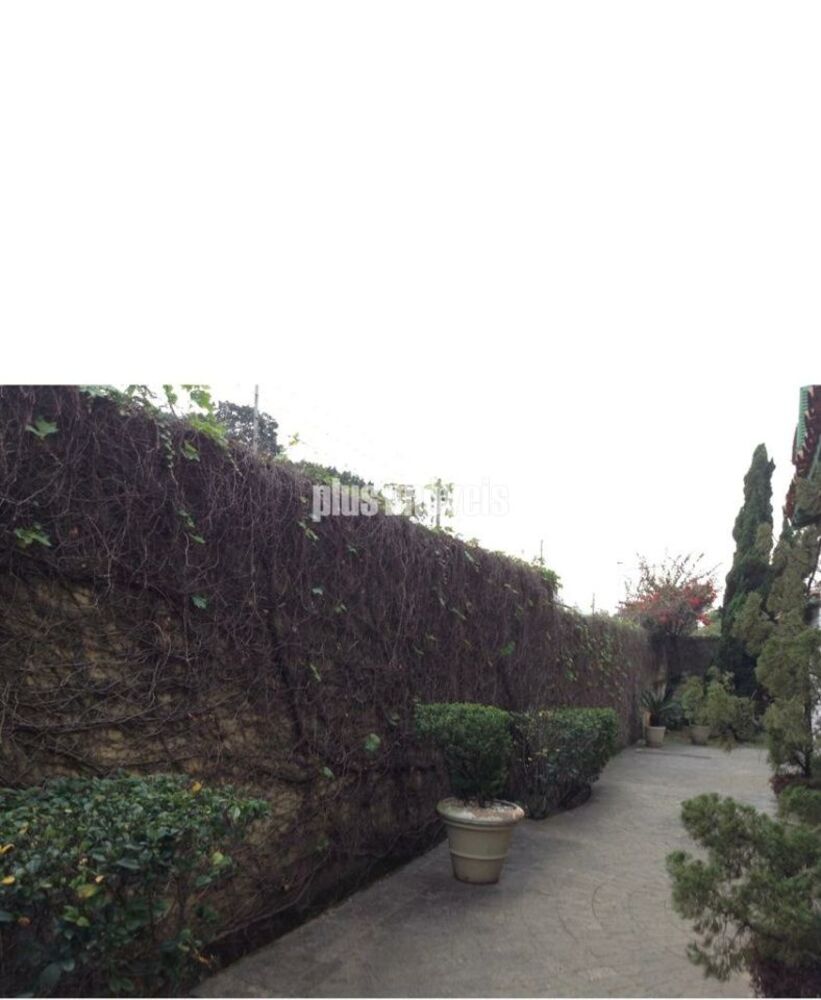 Casa, 4 quartos, 530 m² - Foto 8