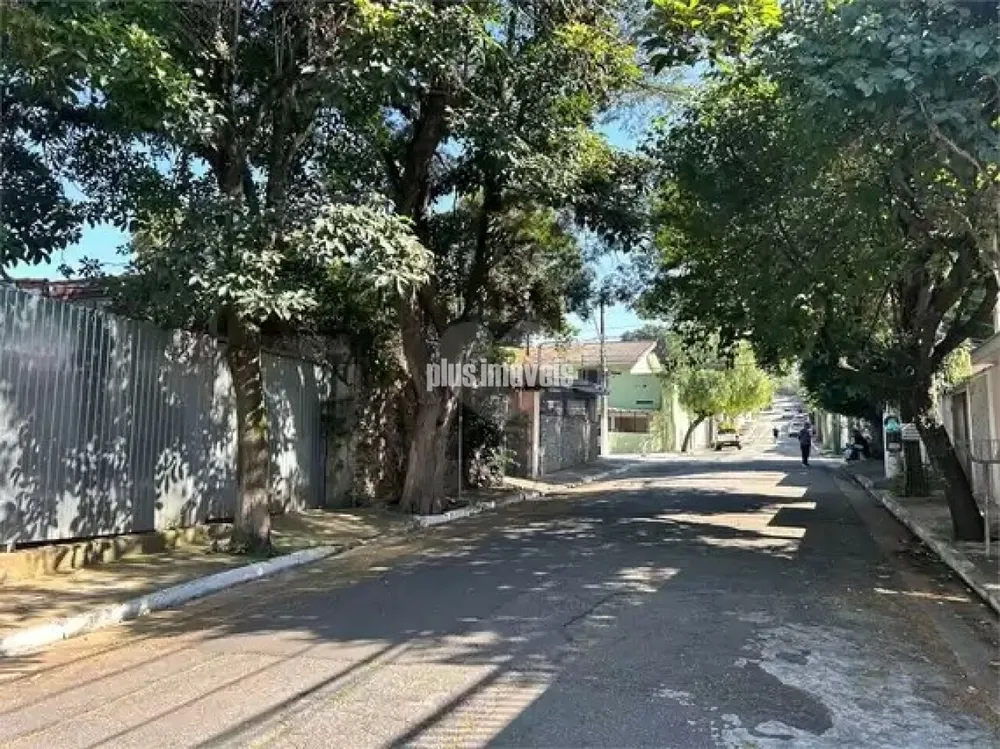Terreno, 250 m² - Foto 4