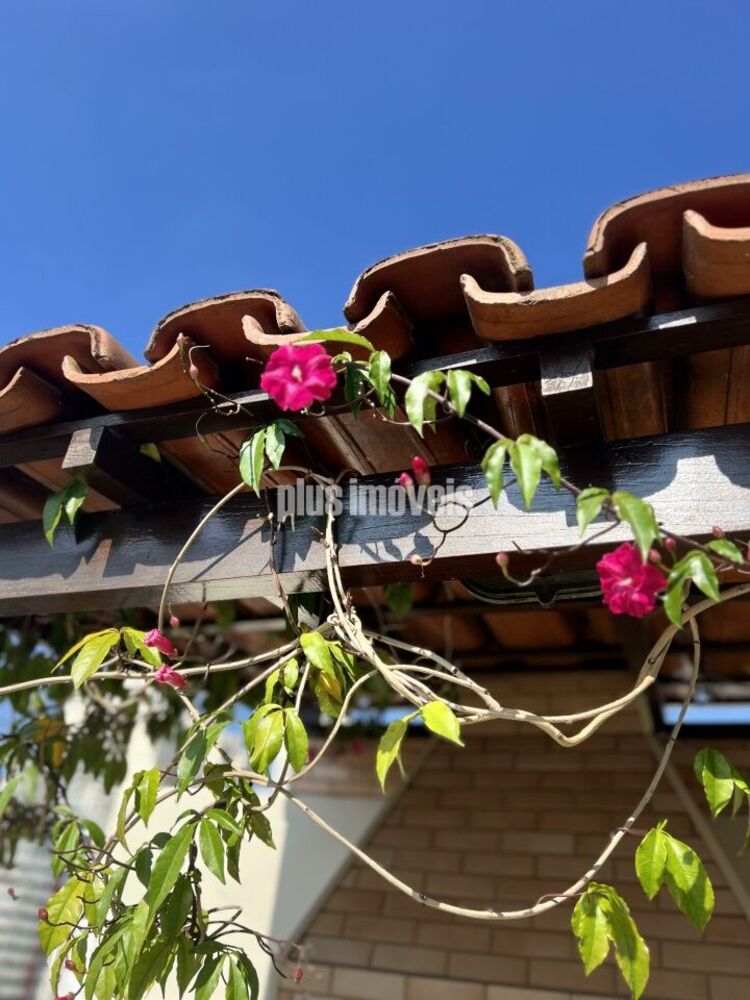 Apartamento, 4 quartos, 340 m² - Foto 3