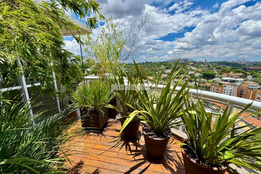 Apartamento, 3 quartos, 236 m² - Foto 3