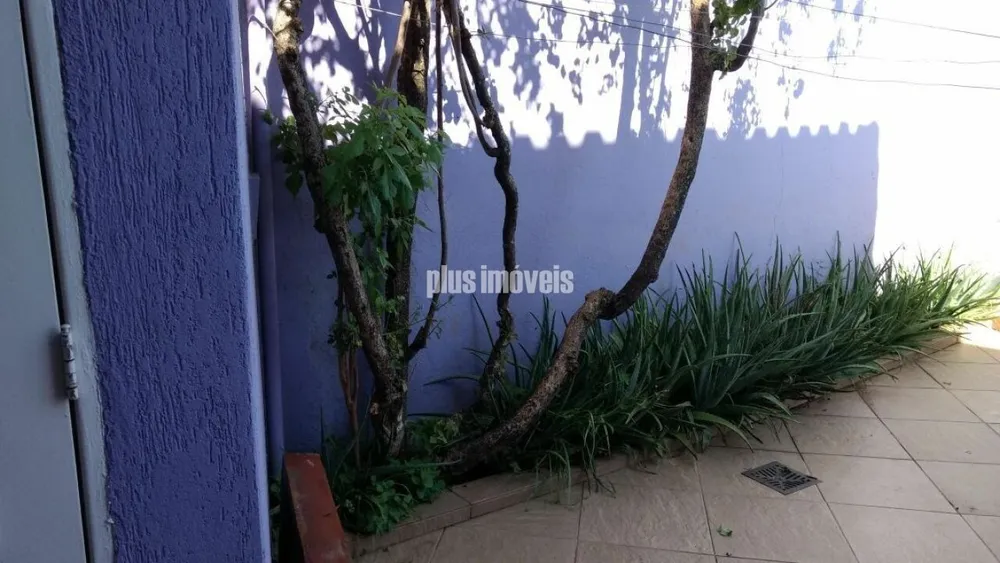 Casa, 3 quartos, 300 m² - Foto 15